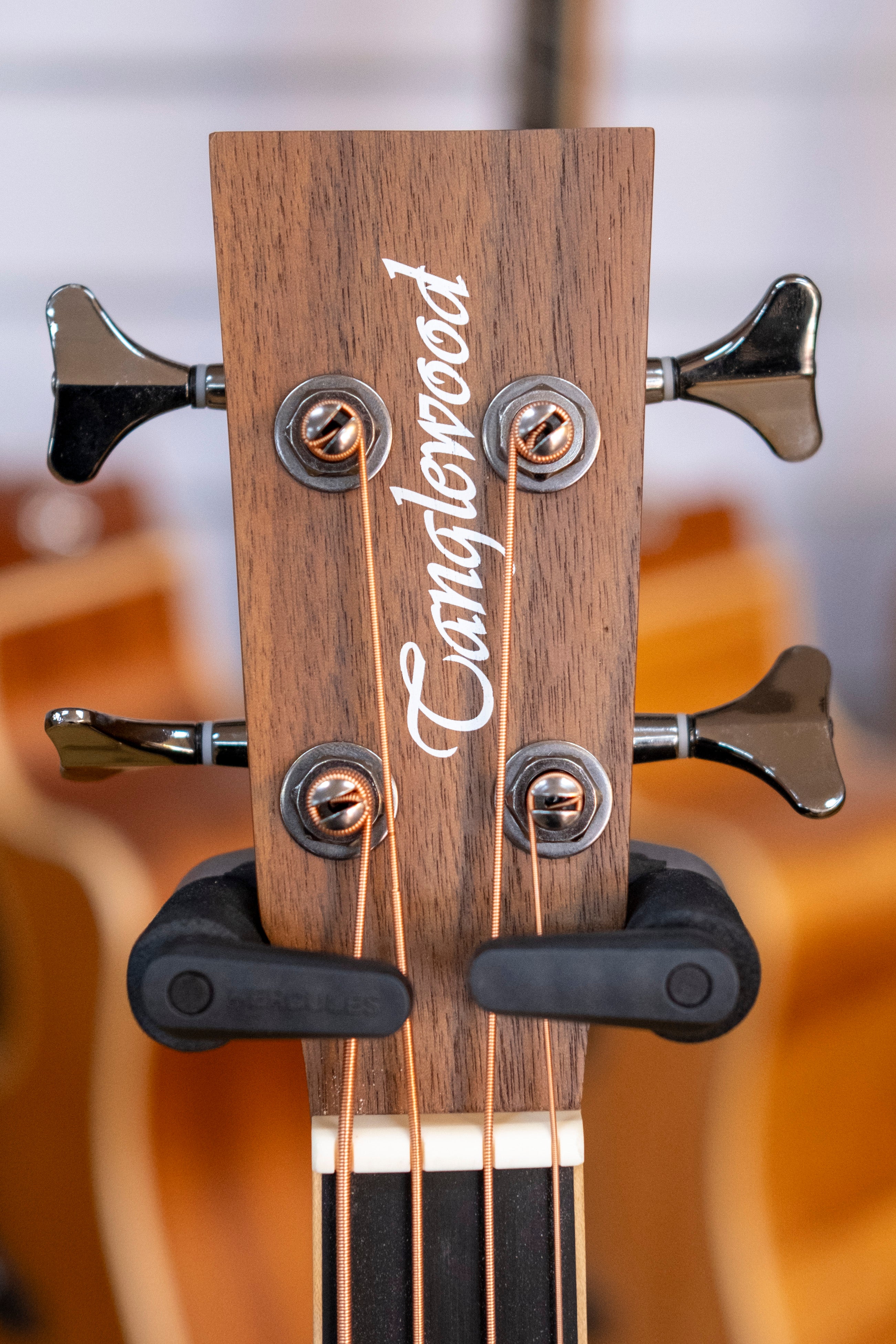 Tanglewood Reunion Pro Acoustic Electric Bass Guitar (Black Walnut)