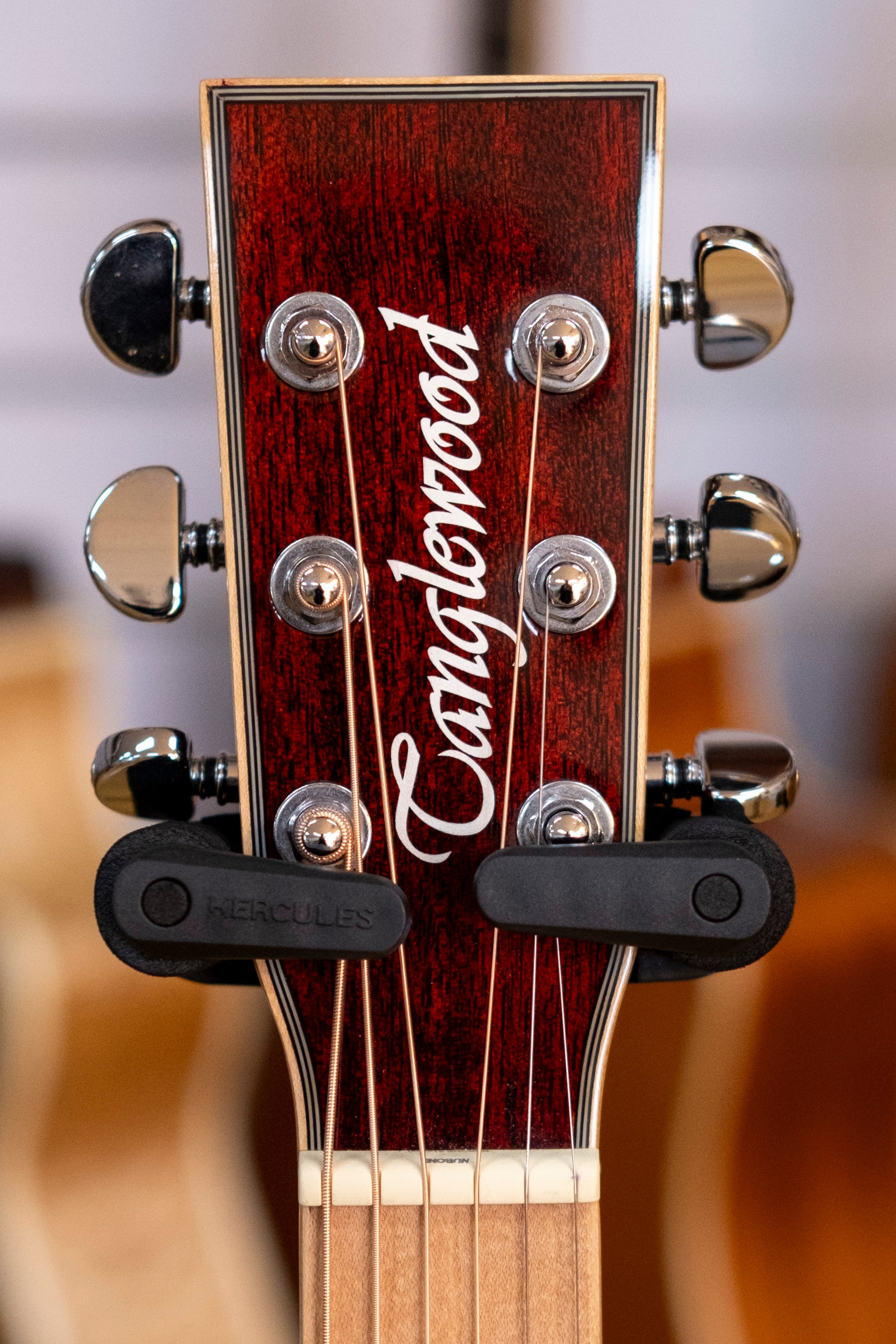 Tanglewood Winterleaf Blonde Superfolk Acoustic Electric Guitar (Barossa)