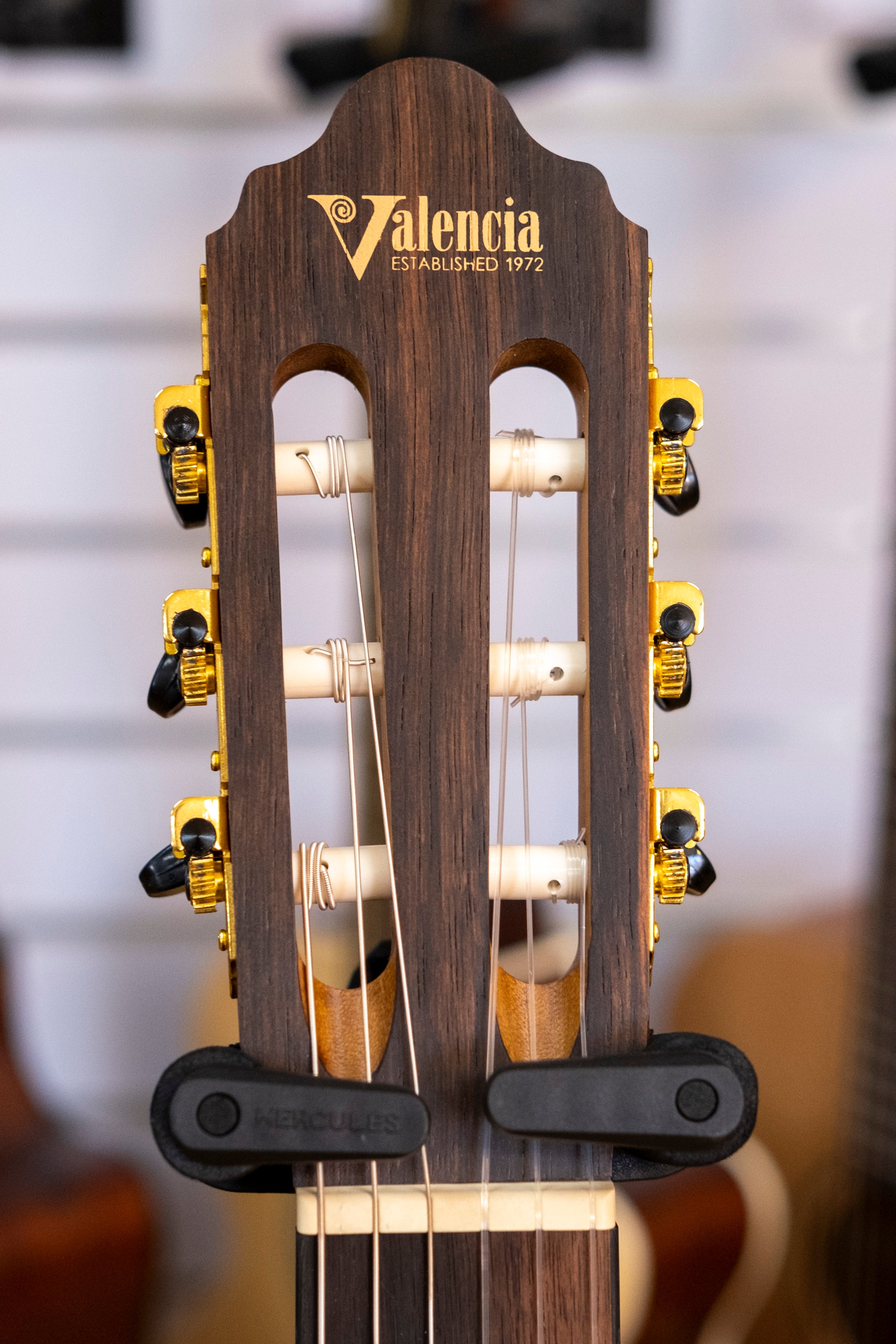 Valencia 300 Series Classical Electric Guitar