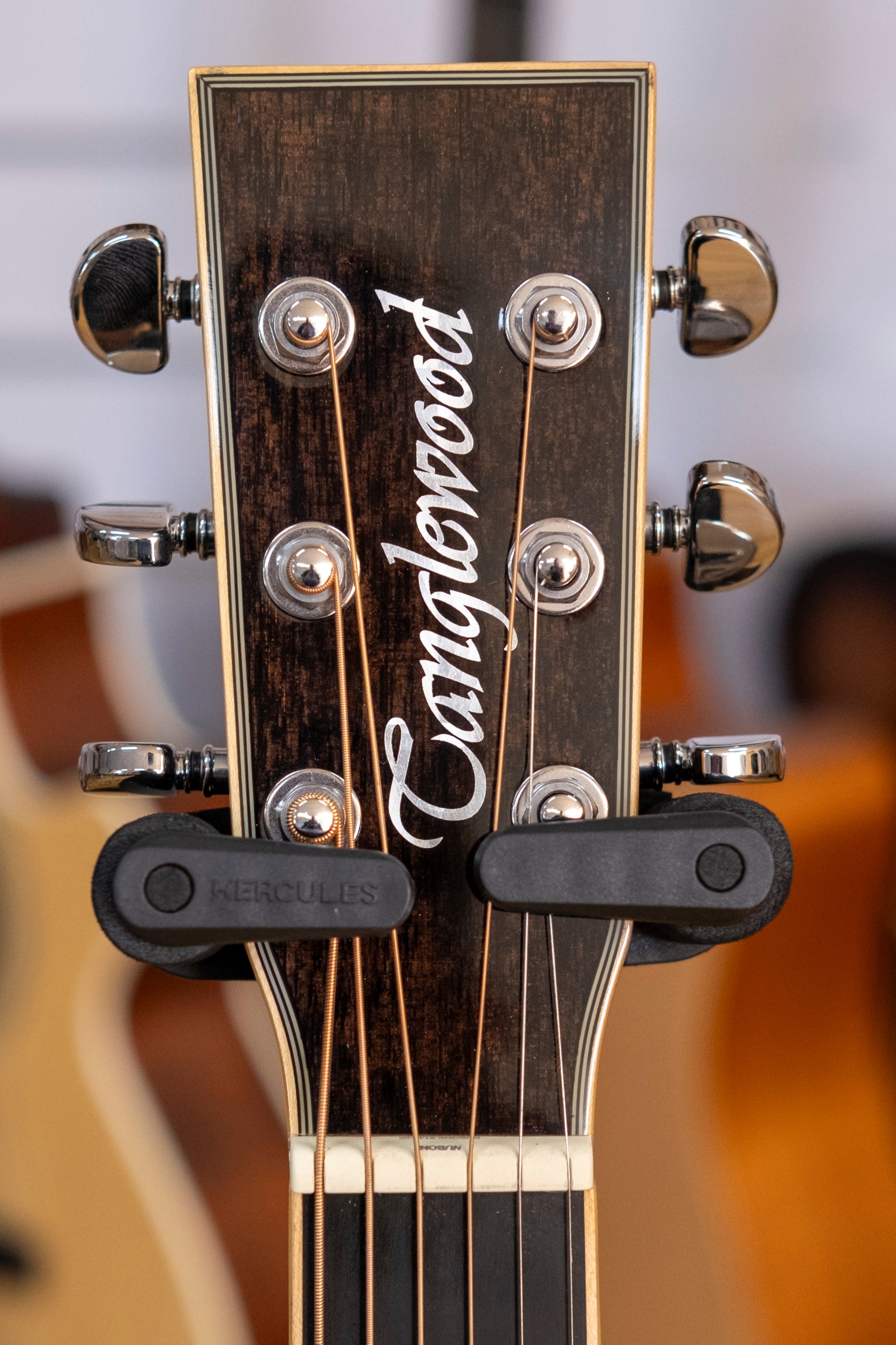 Tanglewood Winterleaf Superfolk Acoustic Electric Guitar (Black Shadow)