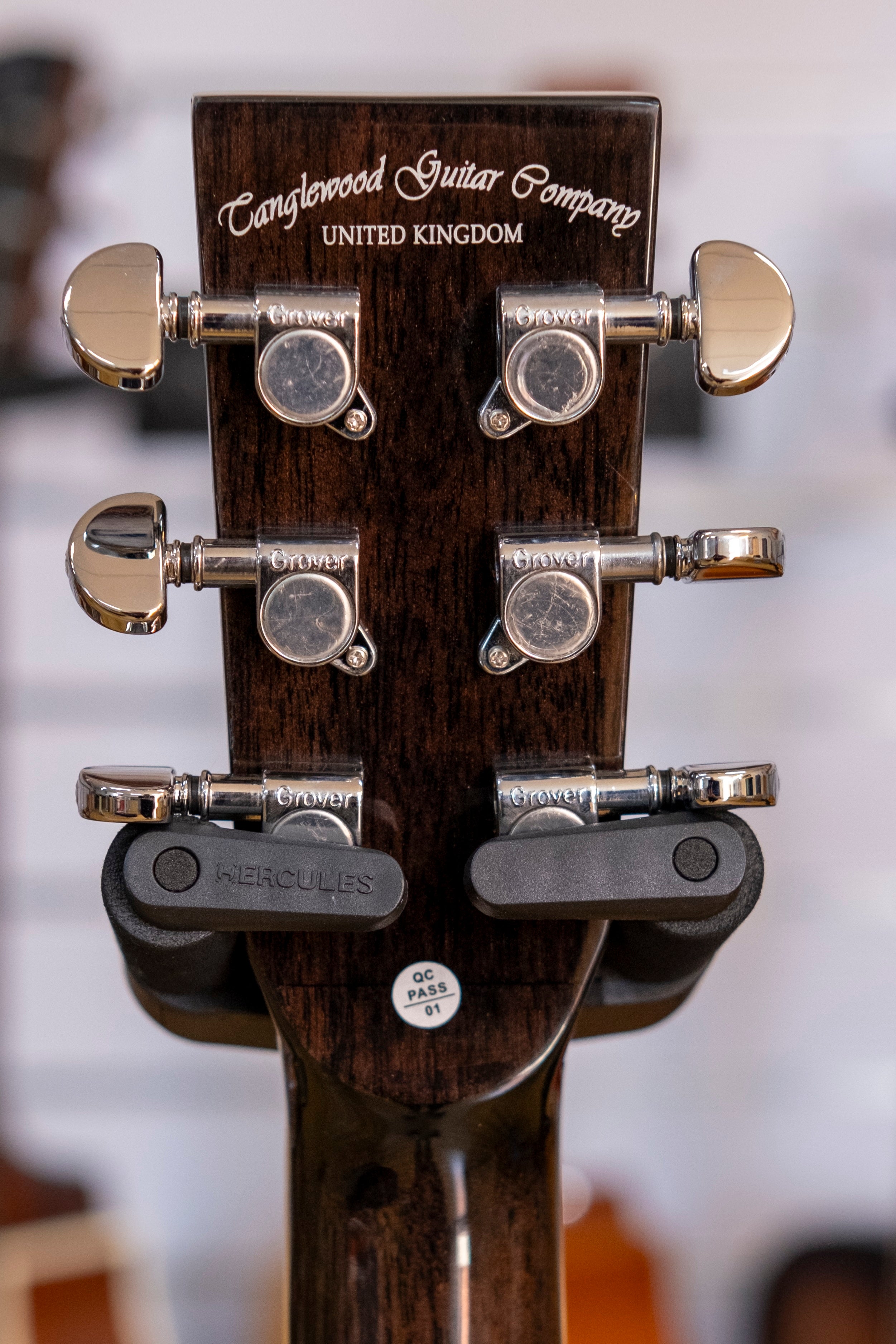 Tanglewood Winterleaf Superfolk Acoustic Electric Guitar (Black Shadow)