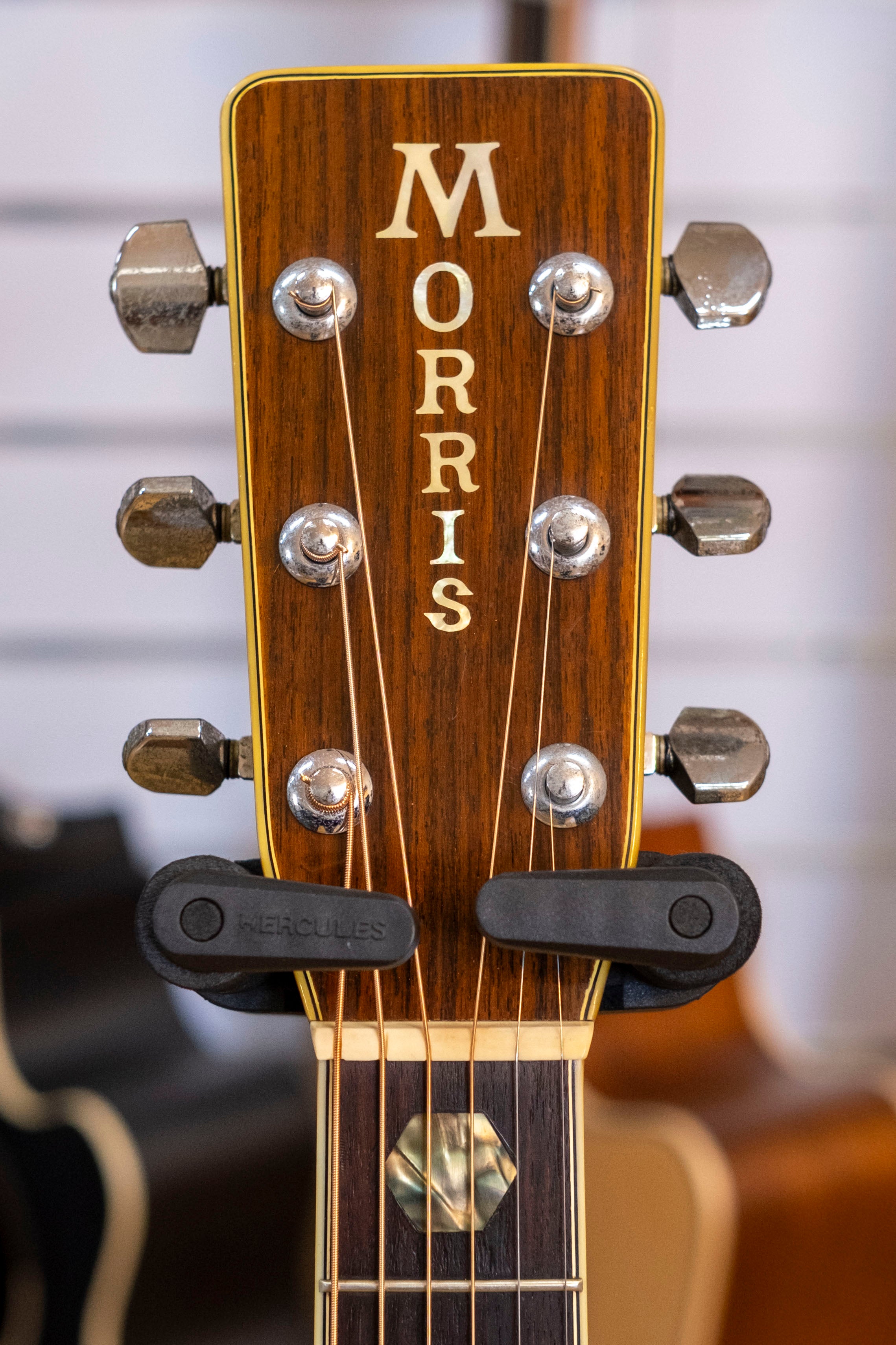 1970's Morris W-45 Dreadnought Acoustic Guitar