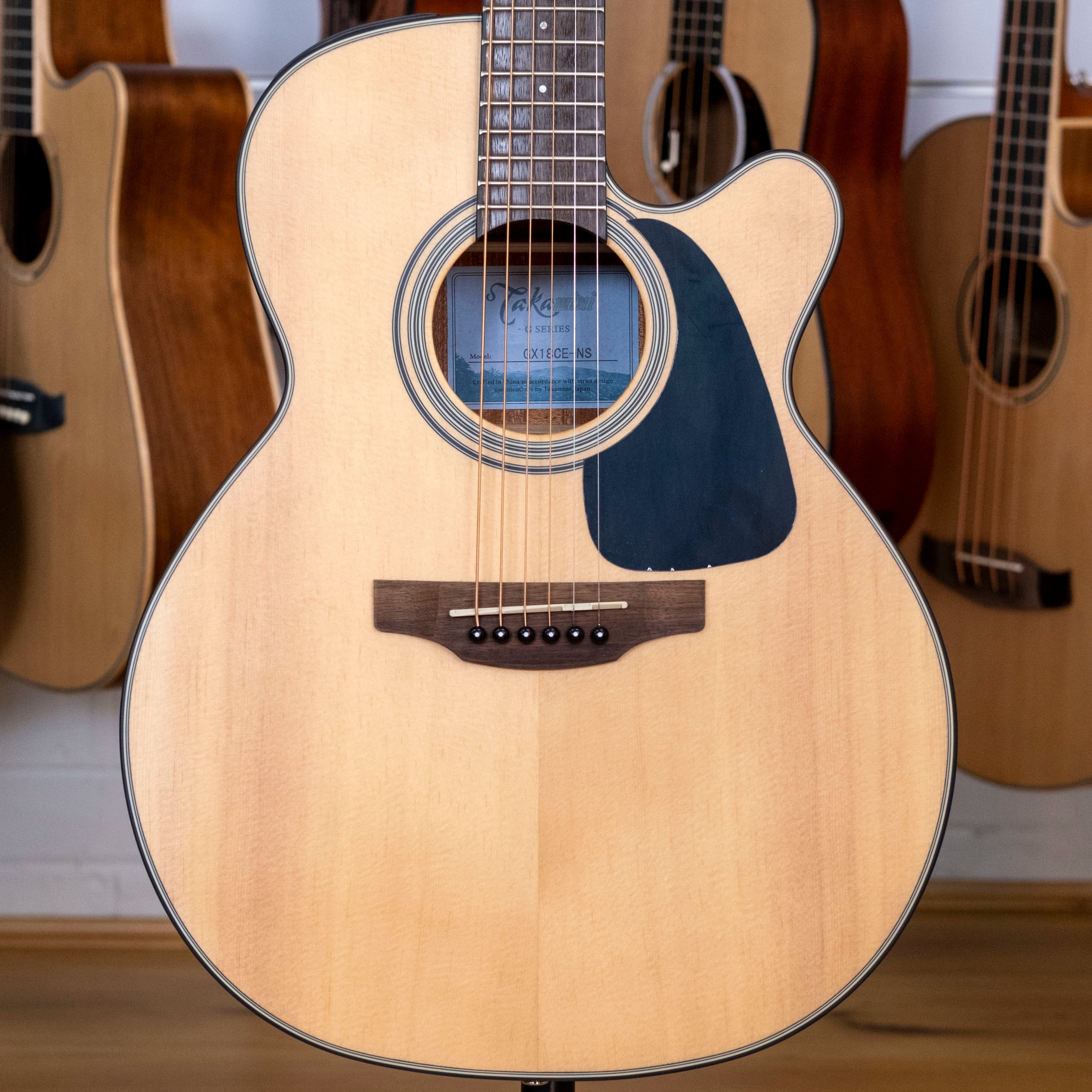 Takamine G Series Takamini Mini Series Acoustic Electric Guitar (Spruce)