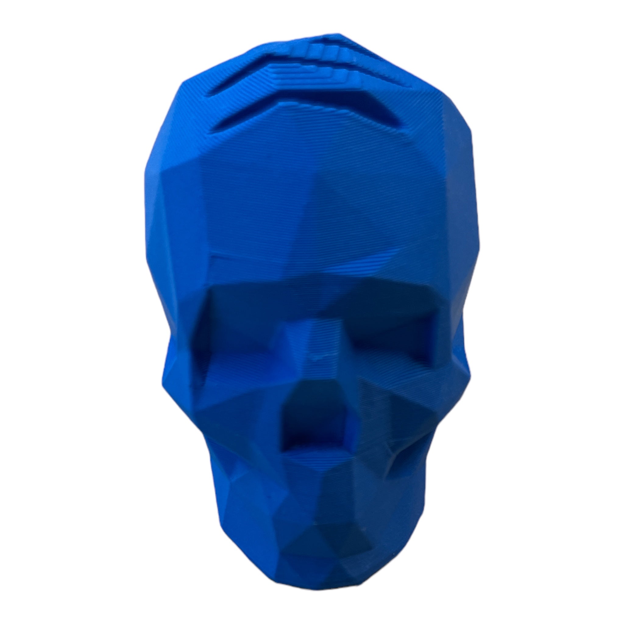 3D Printed Skull Pick Holder (Blue)